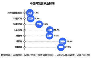 2017年终大片 中国开发者现状分析