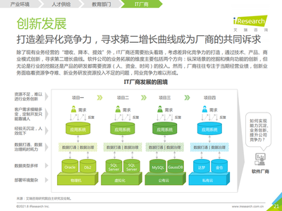 2021年中国企业级无代码白皮书